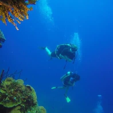 Scuba Diving