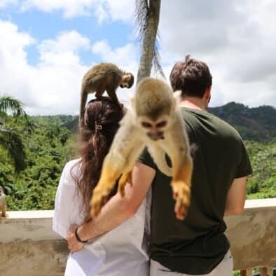 Monkey Island