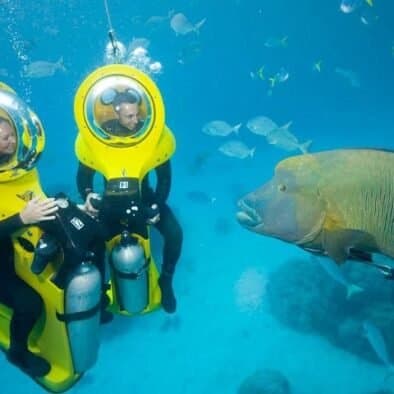 Scuba Doo